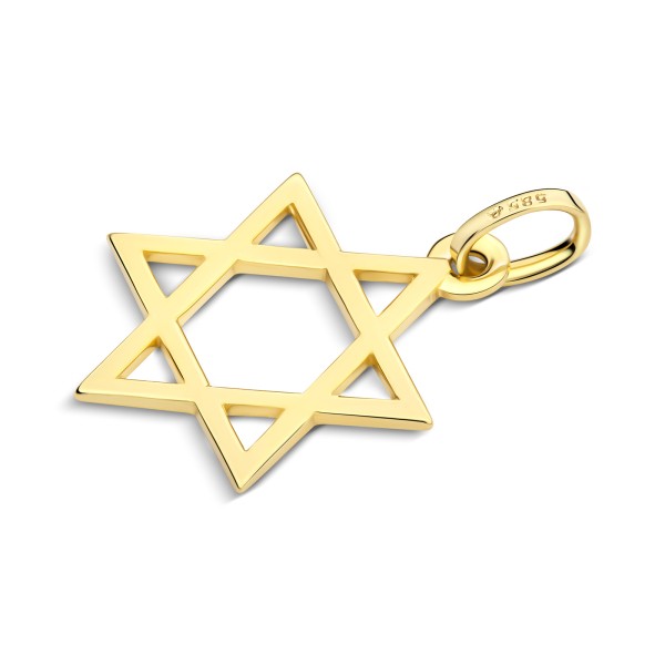 Anhänger Davidstern, Gelbgold 585 / 14K, Höhe 16 mm, Gewicht ca. 0,87 g