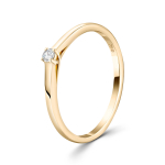 0,05 Karat Diamant Ring Gelbgold