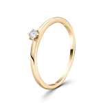 0,05 Karat Diamant Ring Gelbgold