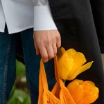 0,50 Karat Diamant Ring mit GIA Zertifikat, Weißgold 585 / 14K, Breite 1,7 mm,Weite 58 mm, Gewicht ca. 2.7 g.