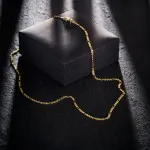 Goldkette als Panzerstegkette in Gelbgold 375 / 9 Karat, 50 cm lang, 2.5 mm breit, Gewicht ca. 4.9 g.