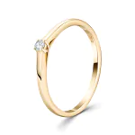 0,05 Karat Diamant Ring Gelbgold