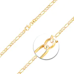 Armband als Figarokette in Gelbgold 333 / 8 Karat, 17 cm lang, 3.1 mm breit, Gewicht ca. 2,1 g.